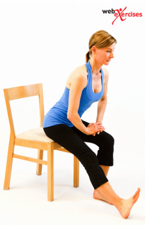 4 Exercises To Prevent Low Back Pain And Sitting Disease - Life Source ...